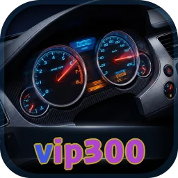 vip300